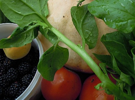 WEKERLEI KERTBARÁT KÖR