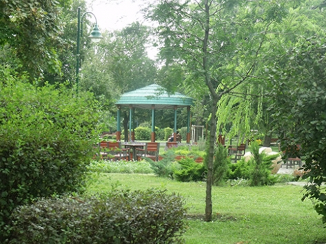 WEKERLEI ÉLETMESÉK