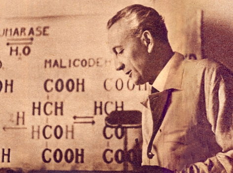 Tudományos természet – természetes tudomány 