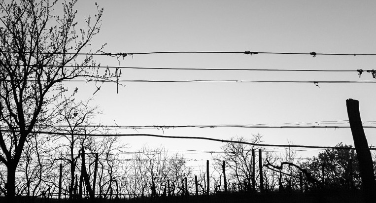 41° FOTO-HAIKU