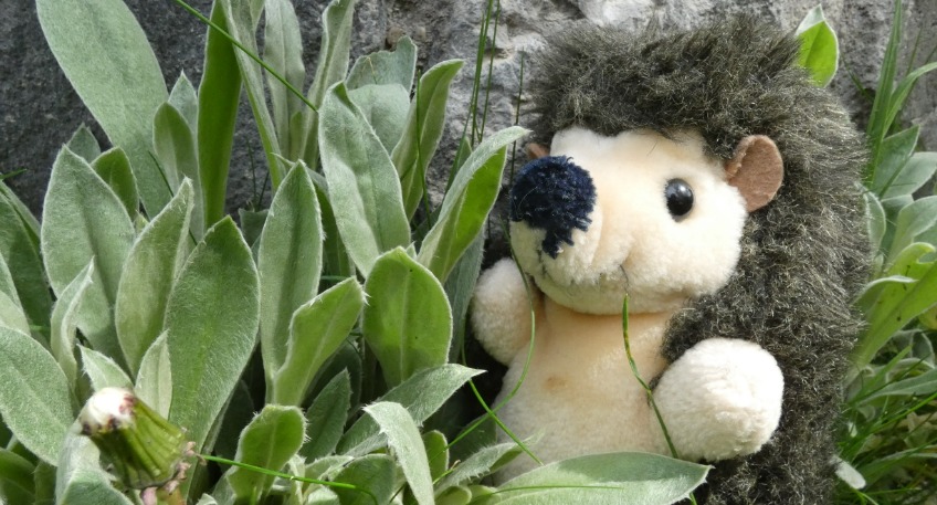 WEKERTEM KERTI PARTY