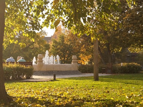 ZÖLDŐRÖK FLÓRÁÉRT, FAUNÁÉRT