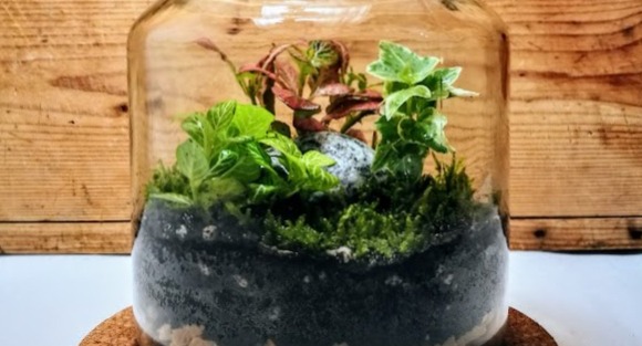 FLORÁRIUM WORKSHOP - ANYÁK NAPJA