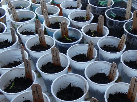 Wekertem elszánt csapata