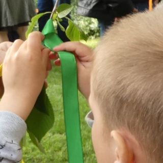 MÁJUSFAÁLLÍTÁS 2026