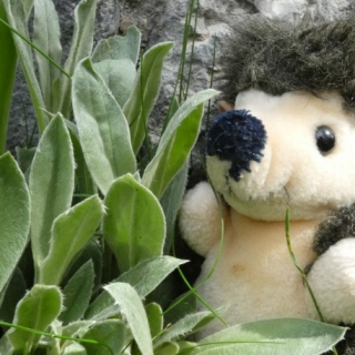 WEKERTEM KERTI PARTY