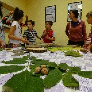 Erdő a városban 2018.10.13.