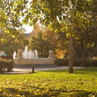 ZÖLDŐRÖK FLÓRÁÉRT, FAUNÁÉRT