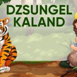 gallery-img