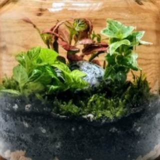 FLORÁRIUM WORKSHOP - ANYÁK NAPJA