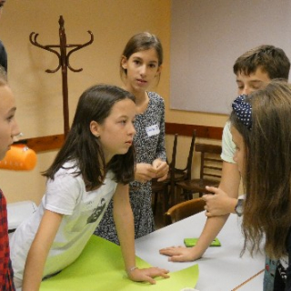 Zöldőrök flóráért, faunáért beszámoló