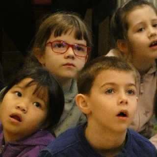 Borika tulipános ládikája