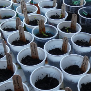 Wekertem elszánt csapata